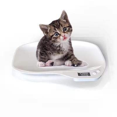 品質  Livestock Scale Electronic Portable Precision Digital Pet Weight Scale for Puppy Rabbit Kitten Weight Loss 33lb/15kg 1g 工場