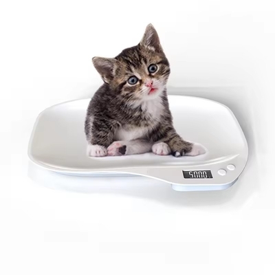 Pet Scale