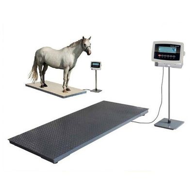 Qualité  Precise Livestock Cattle Weighing Scale with Indexing Value 0.5/1/2/5Kg and Customized Support usine