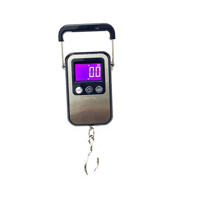 Hanging scale