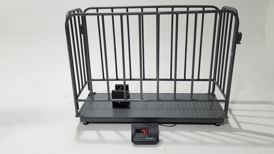 Digital Livestock Weighing Scale 500kg/1000kg Weight Limit Customized OEM Support Fence Scale for Cattle Sheep and Pigs