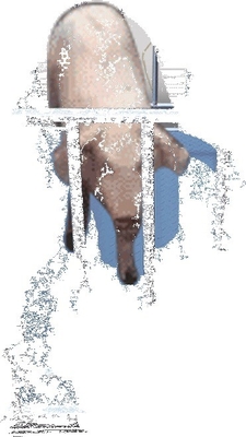 Customized Support 2 Ton Digital Cattle Livestock Weighing Scales Indicator with Built-in Alarm Light and ODM Support