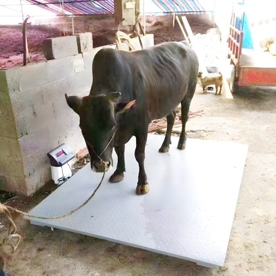 Industrial Electronic Balance Platform Floor Weighing Scales with Customized OBM Support and Carbon Steel