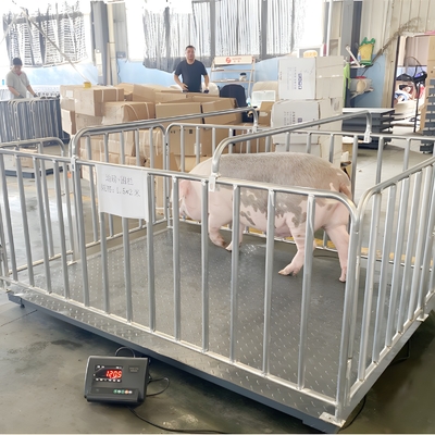Industrial Electronic Balance Platform Floor Weighing Scales with Customized OBM Support and Carbon Steel
