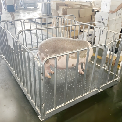 Industrial Electronic Balance Platform Floor Weighing Scales with Customized OBM Support and Carbon Steel