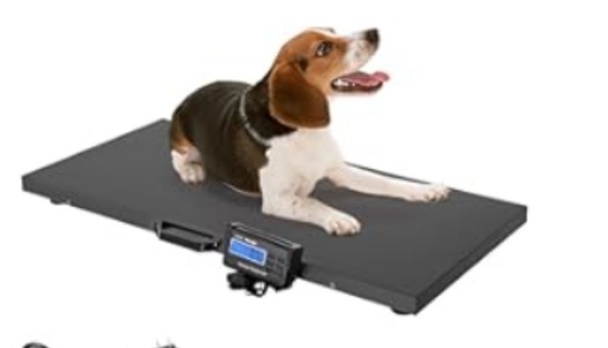 Carbon Steel Customizable Animal Weighing Scale 500kg Max Capacity 1100LBS 0.1kg Accuracy for Cattle Weight Measurement