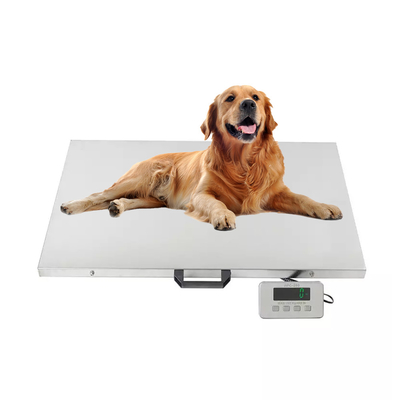 Carbon Steel Customizable Animal Weighing Scale 500kg Max Capacity 1100LBS 0.1kg Accuracy for Cattle Weight Measurement