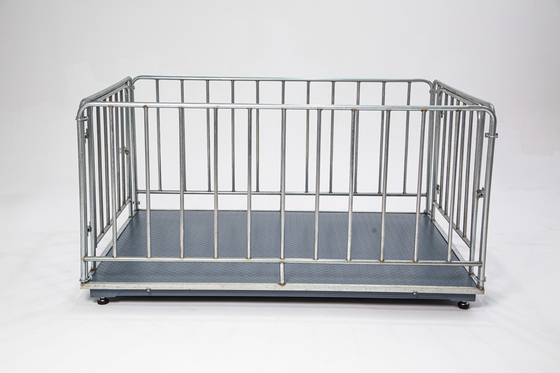 Customized OBM Support Digital Livestock Scale for Sheep Cattle Poultry Farm 2000KG Weight Limit Fence and Panel Included