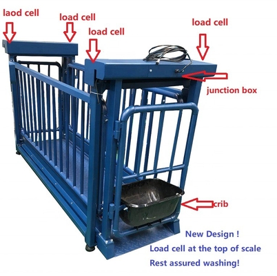 Stainless Steel JB01 Junction Box Electronic Livestock Weighing Scale for Sheep and Goats 500g Accuracy OEM ODM Supported