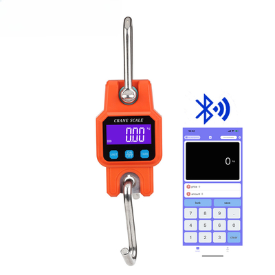 LCD Display Lock Function USB Rechargeable WH-C06 300KG Electronic Hanging Crane Weighing Scale 660LBS