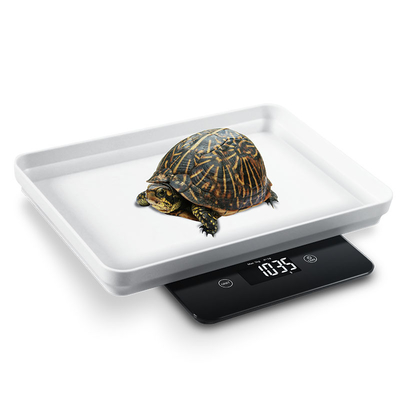 Tiny Pets Floor Scale 5kg 1g with LCD Display Portable Electronic Digital Pet Kitten Animal Balance Weighing Scales