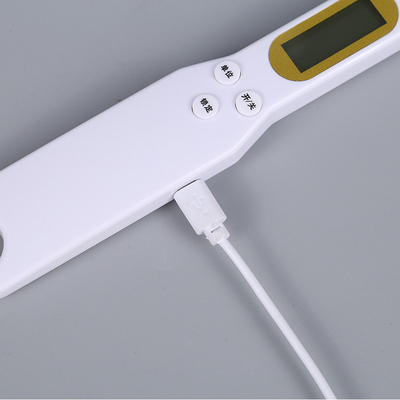 Digital Adjustable Food Scale Spoons for Kitchen Cooking Measuring Rayshine 500G/0.1G Double Head Battery Lcd Display