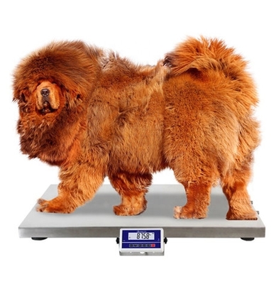 150kg Capacity LCD Display Electronic Pet Scale for Cats and Dogs 10g Division