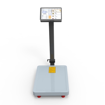 10.1" LCD Touch Screen Industrial Floor Scale with AI Intelligent Android System and QR Code ID Card Traceability Management