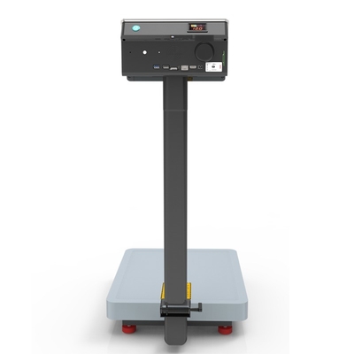 10.1" LCD Touch Screen Industrial Floor Scale with AI Intelligent Android System and QR Code ID Card Traceability Management
