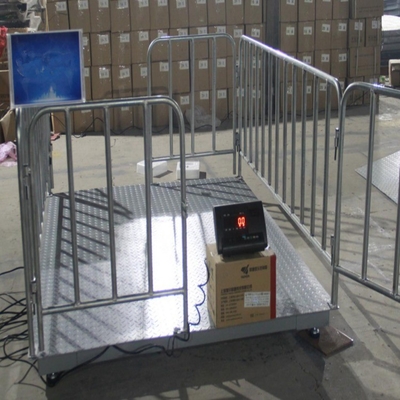Accurate 500g Animal Weighing on Farms Livestock Scale with Fence and OEM Customized Support