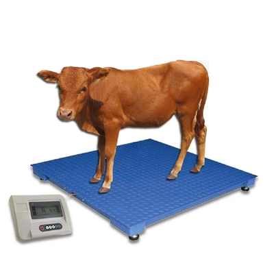AC110V/220V Power Supply 1.2*1.5m 500kg 1000kg 1500kg Balance Livestock Scale for Accurate Cattle Weighing at a