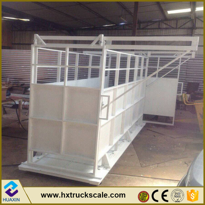 AC110V/220V Power Supply 1.2*1.5m 500kg 1000kg 1500kg Balance Livestock Scale for Accurate Cattle Weighing at a
