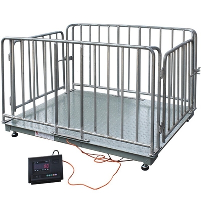 Bluetooth/Wi-Fi/RS232/RS485/4G Cattle Weighing Scales in Kilograms for Accurate Measurements