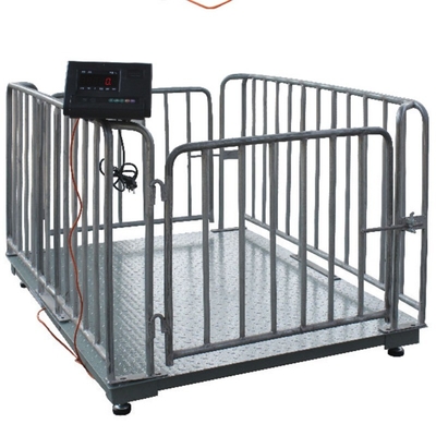 Bluetooth/Wi-Fi/RS232/RS485/4G Cattle Weighing Scales in Kilograms for Accurate Measurements