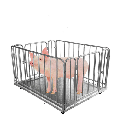 Bluetooth/Wi-Fi/RS232/RS485/4G Cattle Weighing Scales in Kilograms for Accurate Measurements