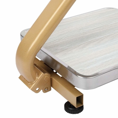 Mini Fold Portable Electronic Scale 60 kg TCS Electronic Platform Scale with Stainless Steel Indicator Bench Scale