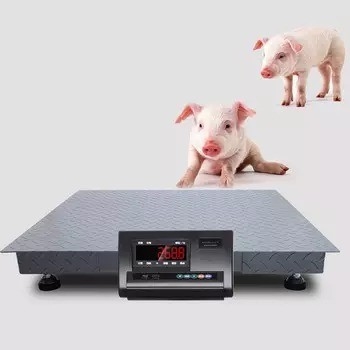 HLT-TCS Floor Scale 1t 3t 5t Electronic Bench Scales with Indicator Display Steel Material and OEM Support Pan 0.8m*0.8m