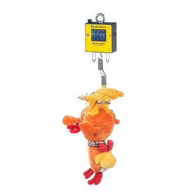 IOT Poultry Scale The Best Choice for Weight Testing of Young Chickens Laying Hens and Fattening Poultry 50g Accuracy