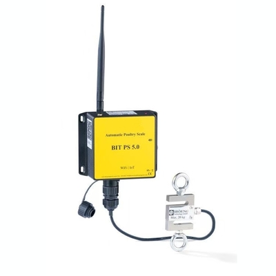 IOT Poultry Scale The Best Choice for Weight Testing of Young Chickens Laying Hens and Fattening Poultry 50g Accuracy