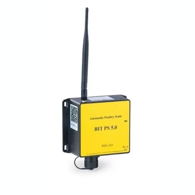 IOT Poultry Scale The Best Choice for Weight Testing of Young Chickens Laying Hens and Fattening Poultry 50g Accuracy