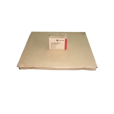 Heavy-Duty 3 Ton Dial Type Cargo Weighing Scale with Tare Function and Stainless Steel Body