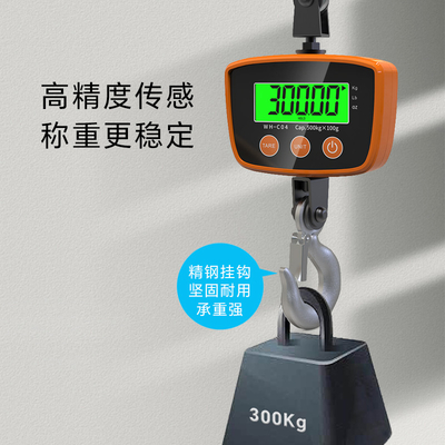 Weiheng 500KG Portable Electronic Crane Scale Digital LCD Display ABS Plastic Stainless Steel Customizable Industrial Scales
