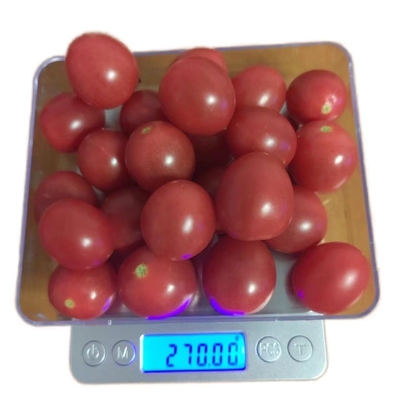 Kitchen Food Weighing Scale Smart Electronic Digital Stainless Steel 500g Capacity with Measure Bowl