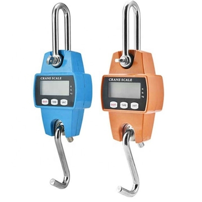 Customized Support LCD Display Beichen Electric Hanging Crane Luggage Weight Scale 300kg Mini Crane Scales