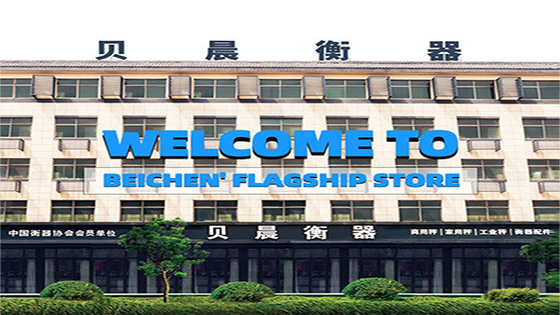 Customized Support LCD Display Beichen Electric Hanging Crane Luggage Weight Scale 300kg Mini Crane Scales