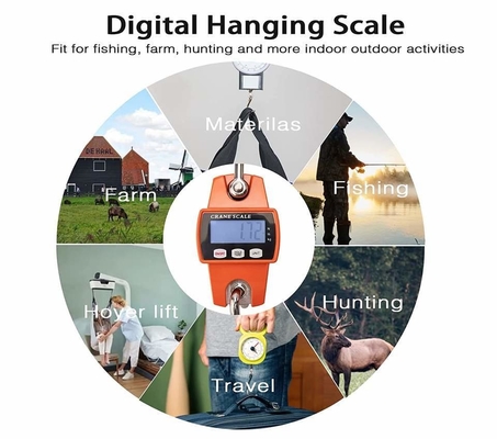 High Accuracy Stainless Steel Electronic Hanging Weighing Crane Scale 300KG Capacity Digital LCD Display OEM Customizable