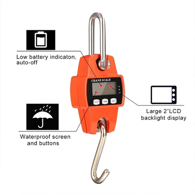 ODM Supported Electronic Crane Scale with 300kg Capacity and LCD Display for Heavy-Duty Weighing in Industrial Environments