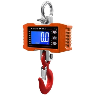 ABS Stainless Steel Aluminum Crane Scale for Heavy-Duty Product Lifting on Ceiling Cranes