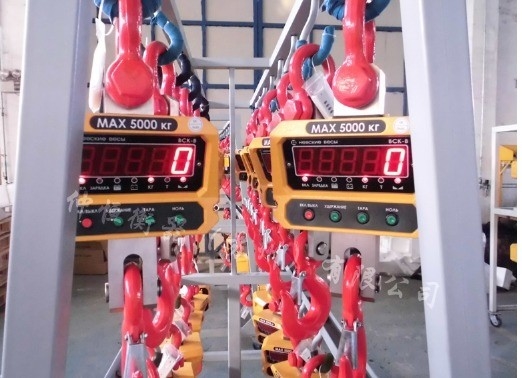 LED Display Aluminum Alloy Stainless Steel Industrial Electronic Crane Scale 500kg1T for Port Direct Lifting Hook