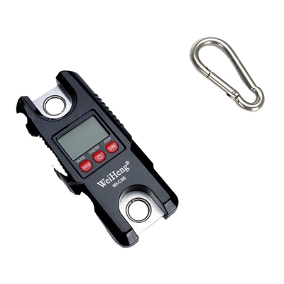 1g Accuracy 300 KG Max Capacity Mini Precision Digital Electronic Hanging Crane Weight Scale for Industrial Weighing Device