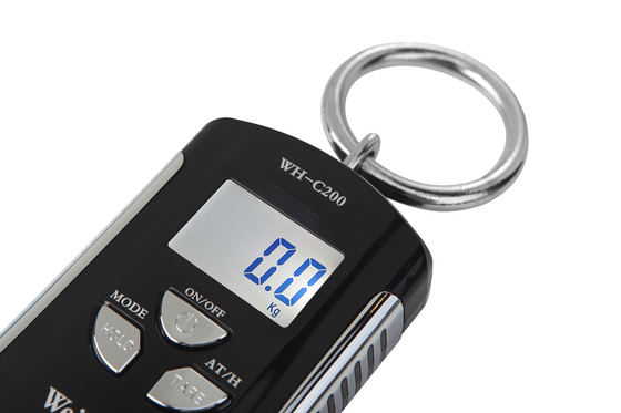 Hanging Scale WH-C200 200kg Portable Crane Scale Small Digital Electronic Hot ABS Material 1g LED/LCD OEM Customizable