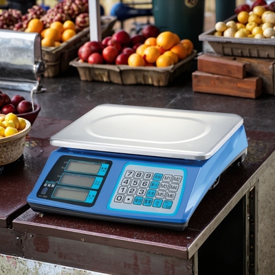 Other Accuracy Digital 30kg Weight Computing Scale with LED Display OEM Customizable and ODM Support