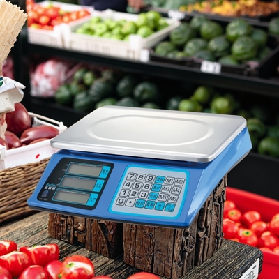 Other Accuracy Digital 30kg Weight Computing Scale with LED Display OEM Customizable and ODM Support