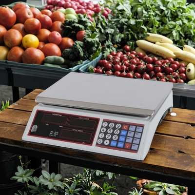 30kg Digital Weight Computing Scale with LED Display Other OEM Customizable and Other ODM Support