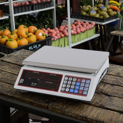 30kg Digital Weight Computing Scale with LED Display Other OEM Customizable and Other ODM Support