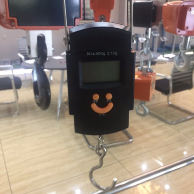 LED Display 50kg Handheld Digital Hanging Weighing Scale Portable Spring Scale for Weighing
