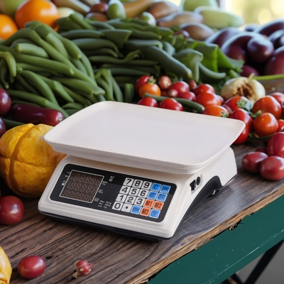 30kg 35kg 40kg Digital Weight Computing Scale with High Accuracy and OEM MOQ 1000PCS