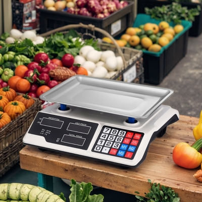 30kg Digital Weight Computing Scale with Performance OEM MOQ 1000PCS and Accurate Weighing