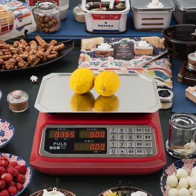 30kg Capacity Digital Weight Computing Scale with Other Accuracy and OEM Customized Support