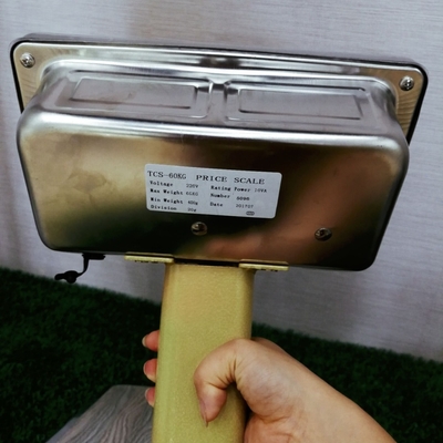 60kg Weight Scale Electronic with All Material Stainless Steel Indicator Master Carton Size 61*45*39.5cm